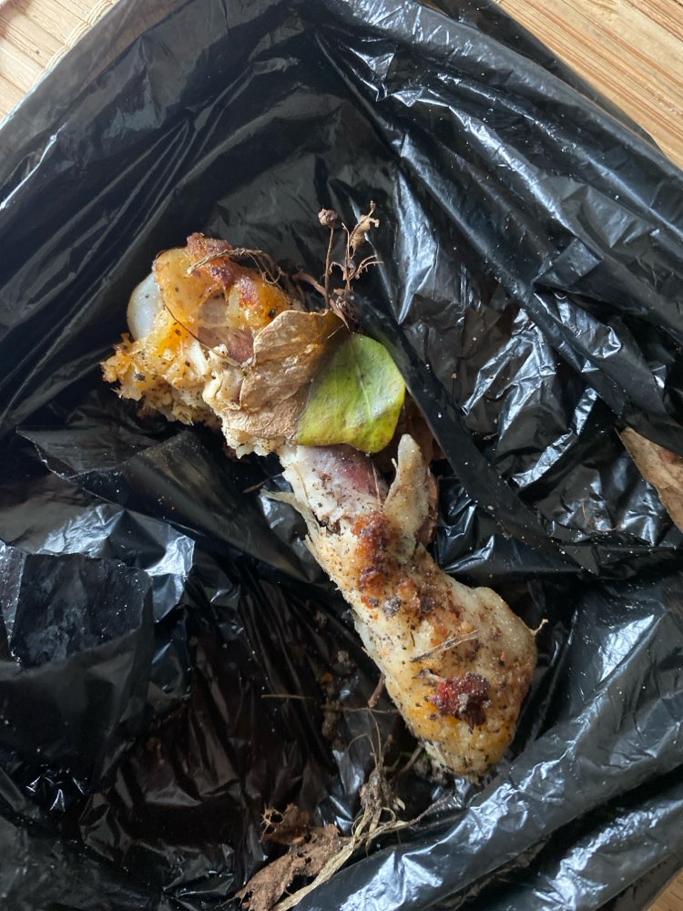 Giftköder-Hähnchenknochen-Profilbild