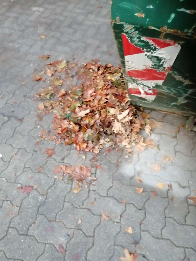 Giftköder-Würstchen versteckt unter Blätterhaufen-Profilbild