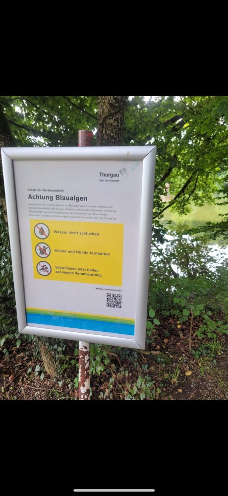 Giftköder-Blaualgengefahr-Profilbild