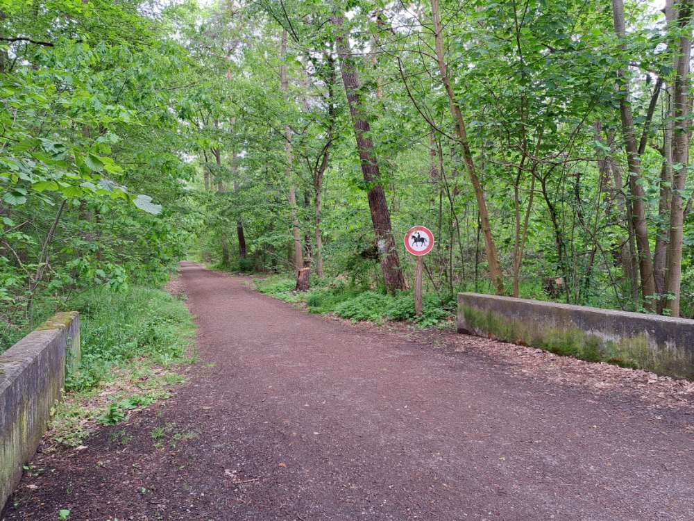 Giftköder-Knochen am Wegesrand-Profilbild