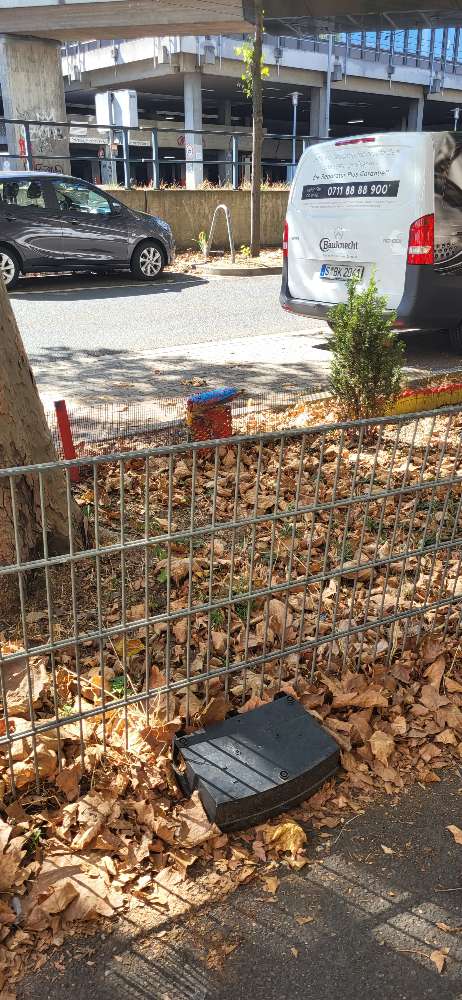 Giftköder-Ratengift-Profilbild