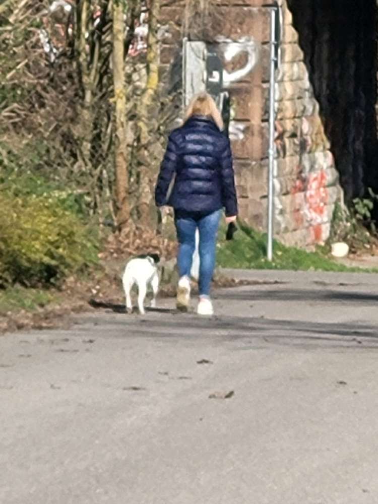 Giftköder-Frau mit hund beleidigt-Profilbild