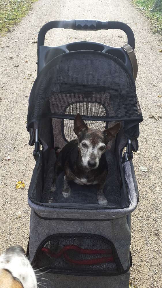 Giftköder-Gift/Drogen-Profilbild