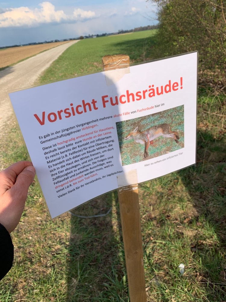 Giftköder-Fuchsräude-Profilbild