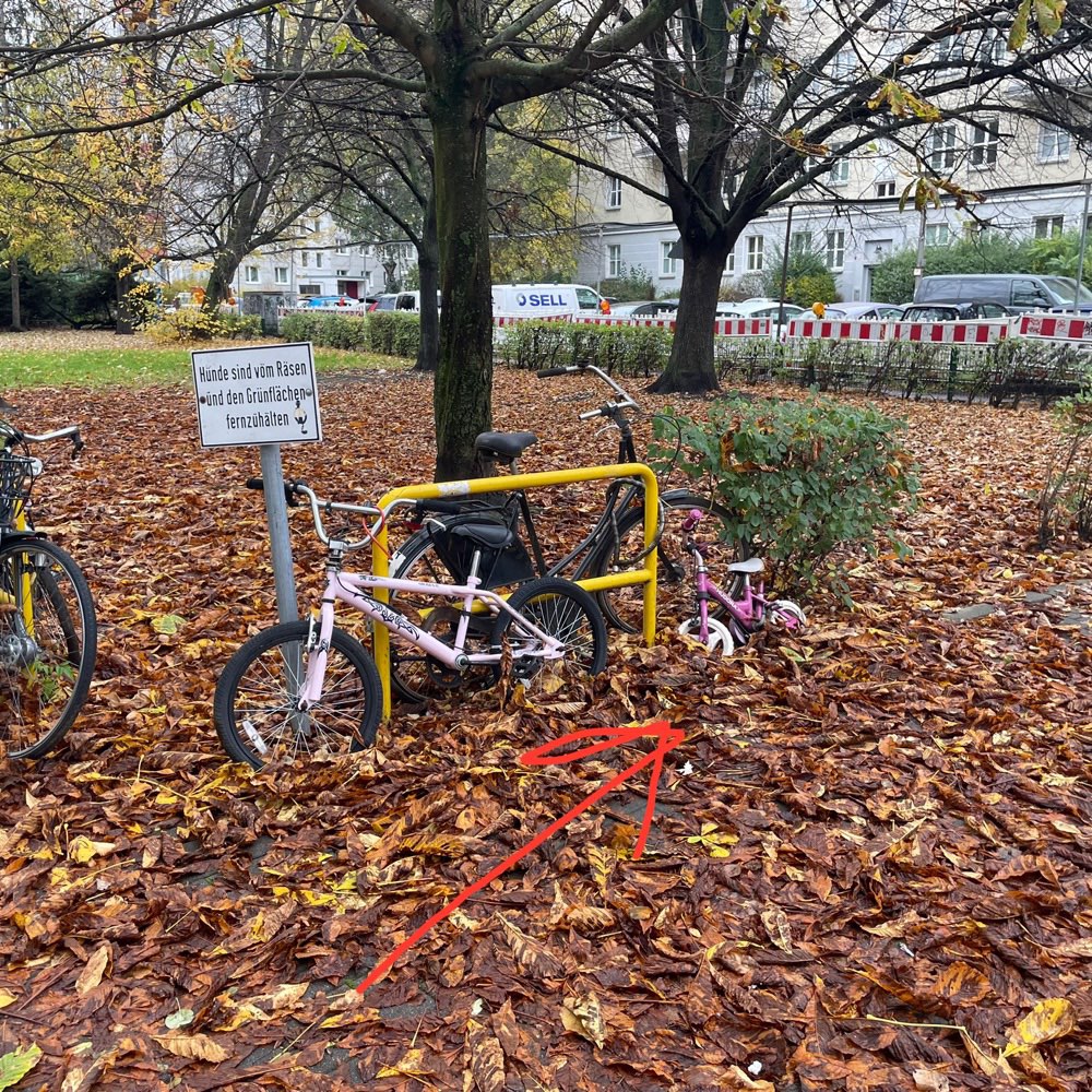Giftköder-Piece of Sausage hidden under leaves-Profilbild