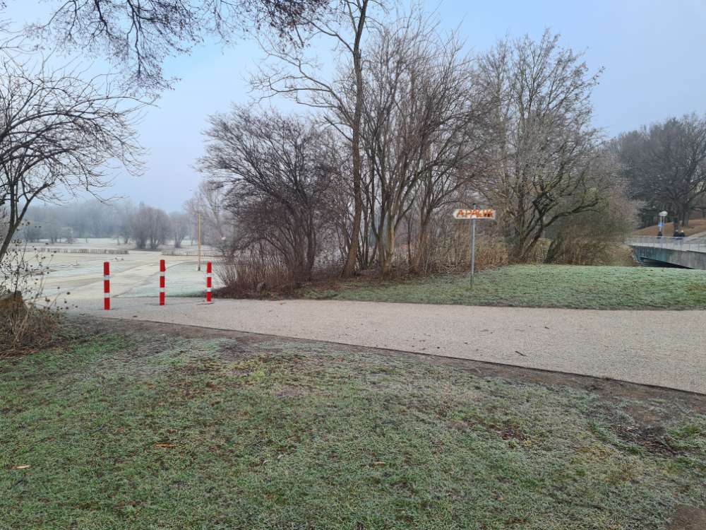 Giftköder-Ausgelegte Hunde-Leckerlis-Profilbild