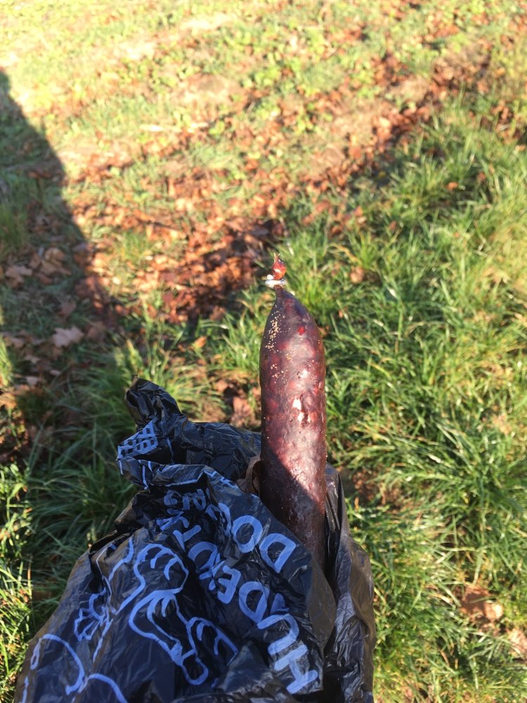 Giftköder-Wurst mit Metallenden-Profilbild