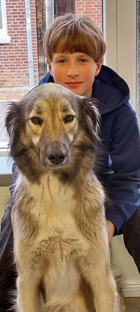 Hundetreffen-Spielende gerne in Egels aber flexibel..-Profilbild