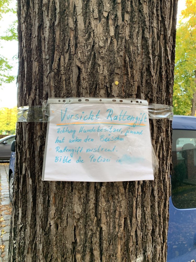 Giftköder-Rat poison in the bushes-Profilbild