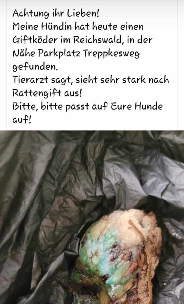 Giftköder-Giftköder-Profilbild