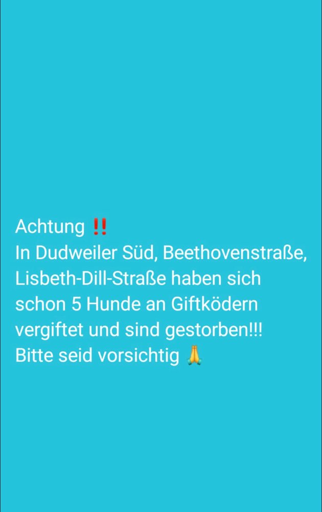 Giftköder-Giftköder-Profilbild