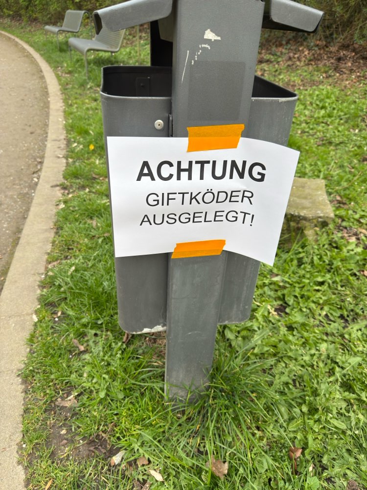 Giftköder-Gift-Profilbild