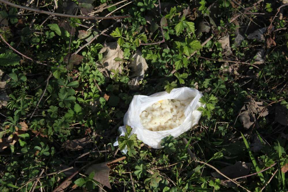 Giftköder-Vermutlich Giftköder-Profilbild