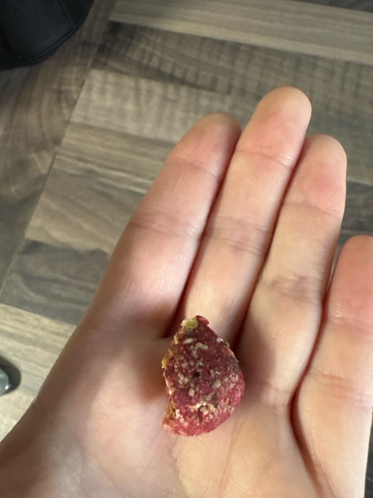 Giftköder-Vermutlich Rattengift-Profilbild