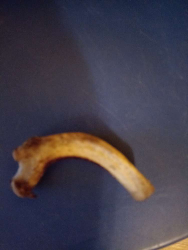 Giftköder-Giftköder Knochen-Profilbild