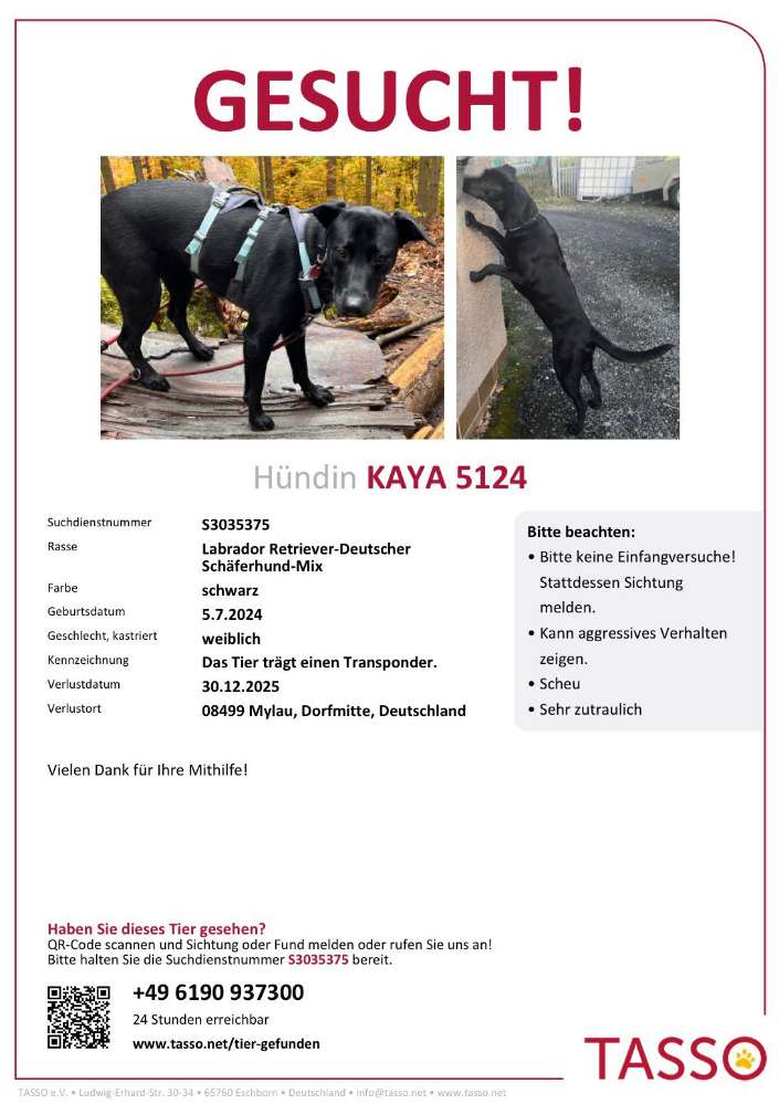 Suchmeldung-Kaya-Profilbild