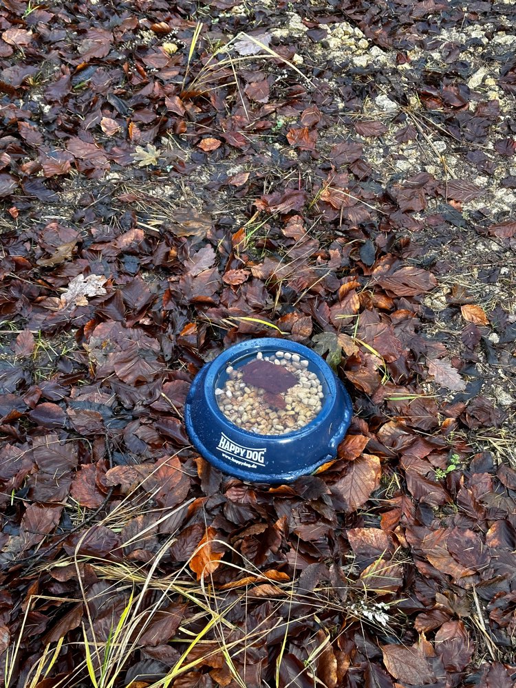 Giftköder-Verdächtiger Fressnapf auf Waldweg-Profilbild