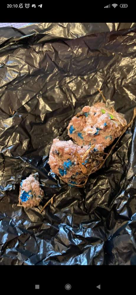 Giftköder-Giftköder-Profilbild