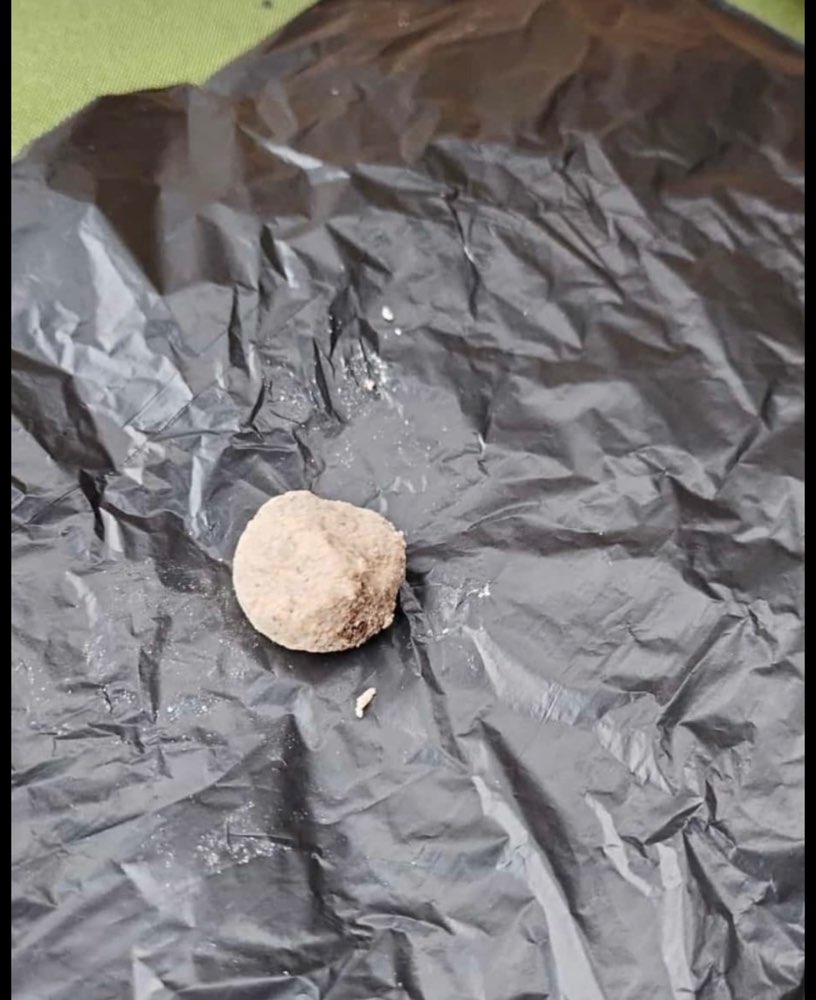 Giftköder-Giftköder Hirschau im Garten-Profilbild