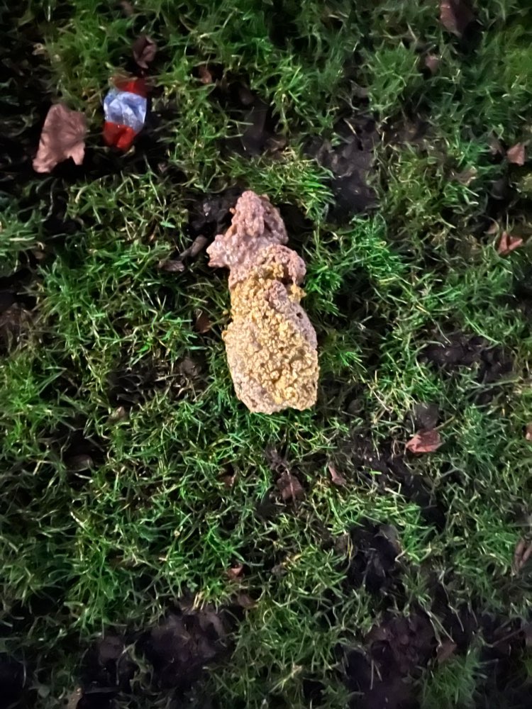 Giftköder-Hackfleisch/ Erbrochenes im Bayernpark-Profilbild