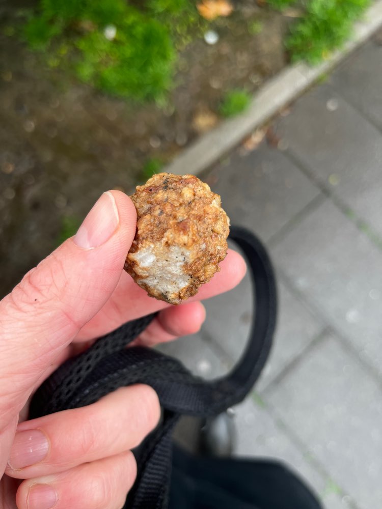 Giftköder-Fleischbällchen im Gebüsch-Profilbild