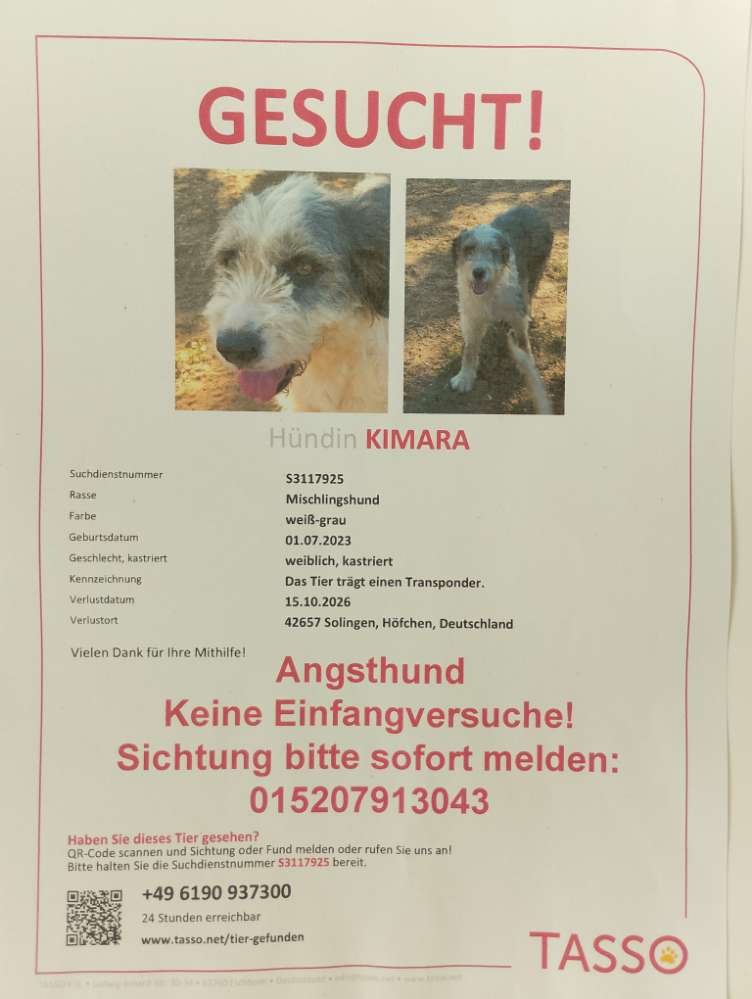 Suchmeldung-Kimara-Profilbild