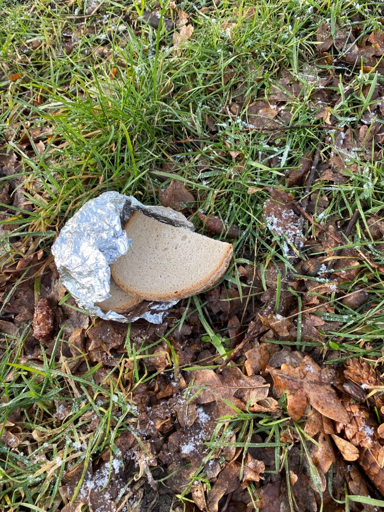 Giftköder-Giftköder oder Schulbrot-Profilbild