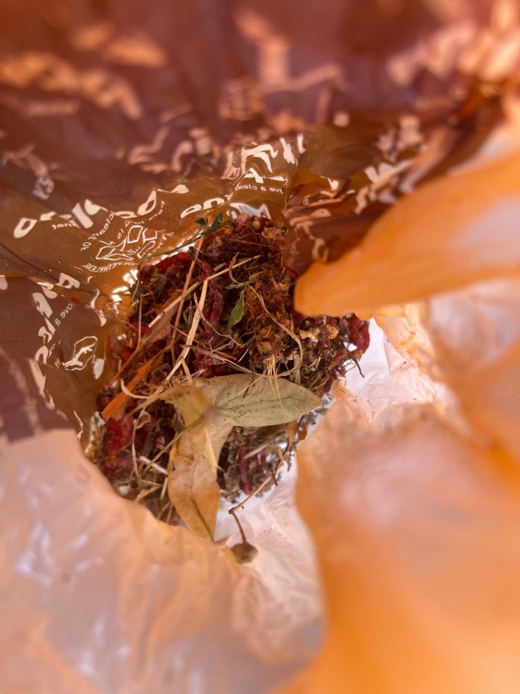 Giftköder-Hackfleisch Verdacht auf Giftköder-Profilbild