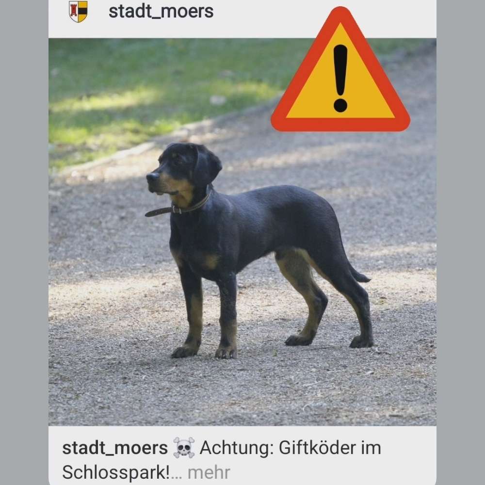 Giftköder-Giftköder Schlosspark/Stadtpark-Profilbild