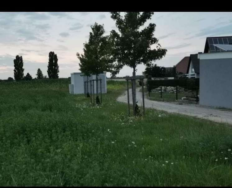 Giftköder-ACHTUNG! hier wurden Giftköder ausgelegt-Profilbild