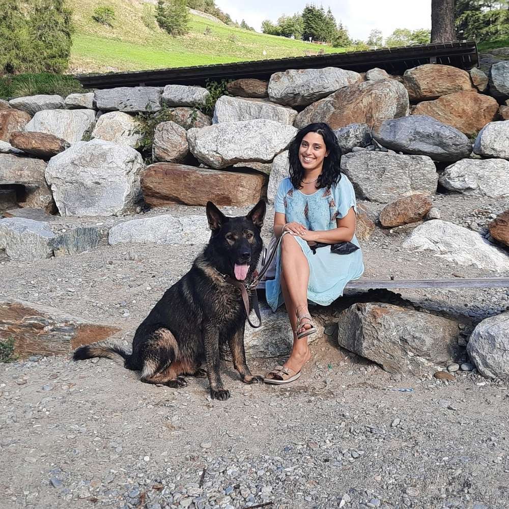 Hundetreffen-Spielhunde gesucht gern größere Hunde :) oder Gassi runde 🐕-Profilbild