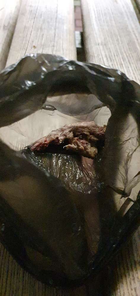 Giftköder-Eventuell Giftköder-Profilbild