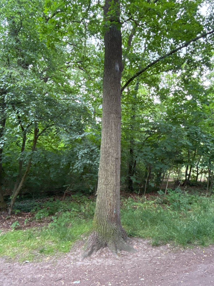 Giftköder-EPS im Laehrpark-Profilbild