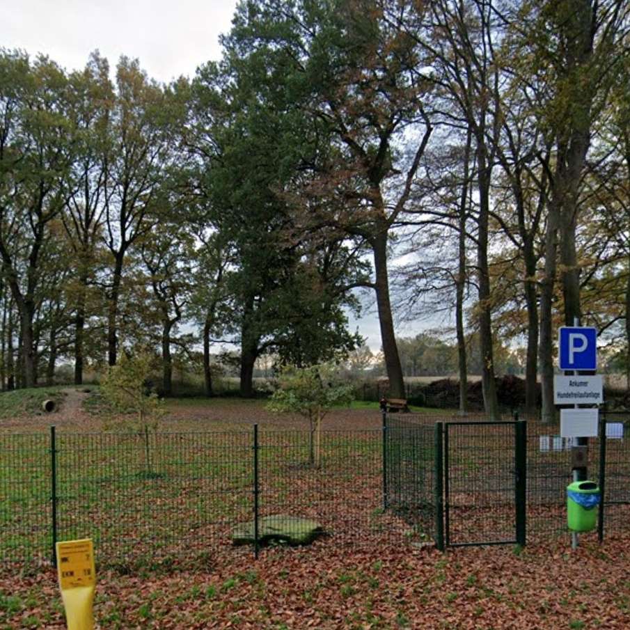 Hundetreffen-Treffen beim Hundeplatz Ankum-Profilbild