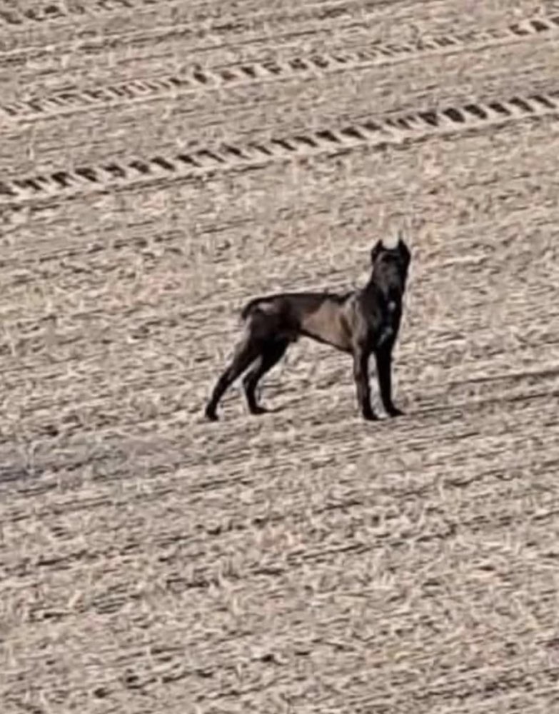 Suchmeldung-EYS-Profilbild