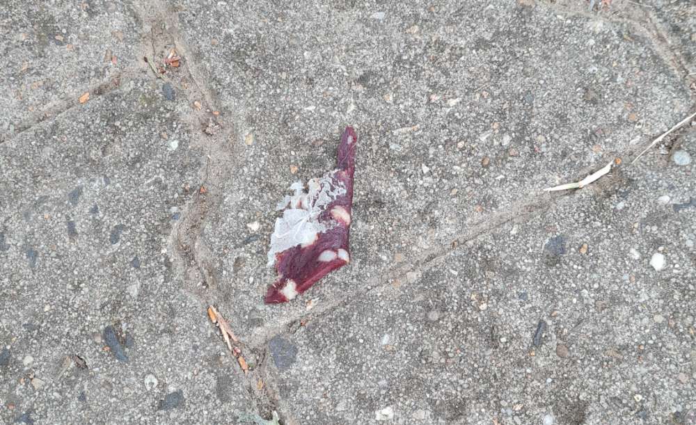 Giftköder-Ausgelegte Blutwurst-Profilbild