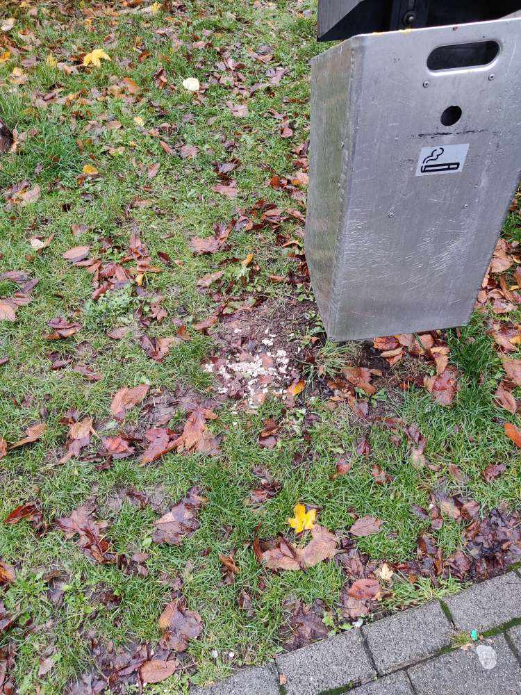 Giftköder-Verteiltes Hühnchenfleisch-Profilbild