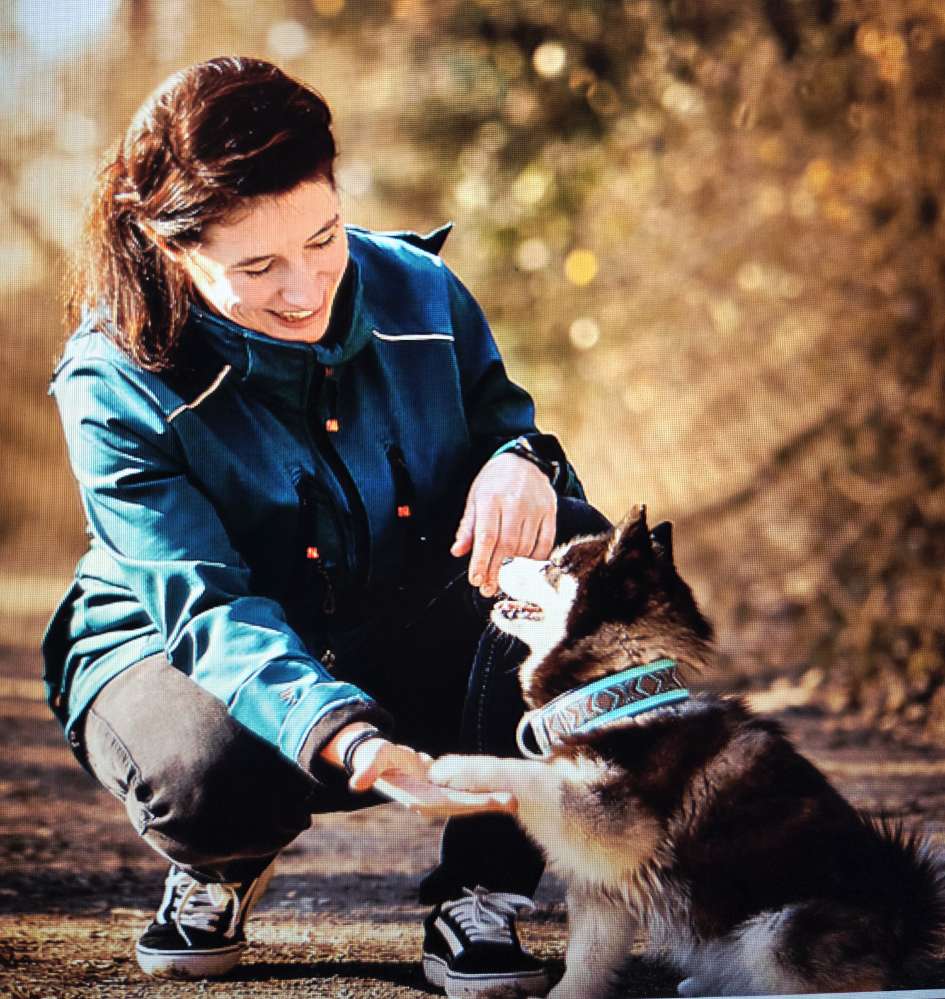 Hundetreffen-Hundetraining, Gruppentraining, Welpen, Social Walks-Profilbild