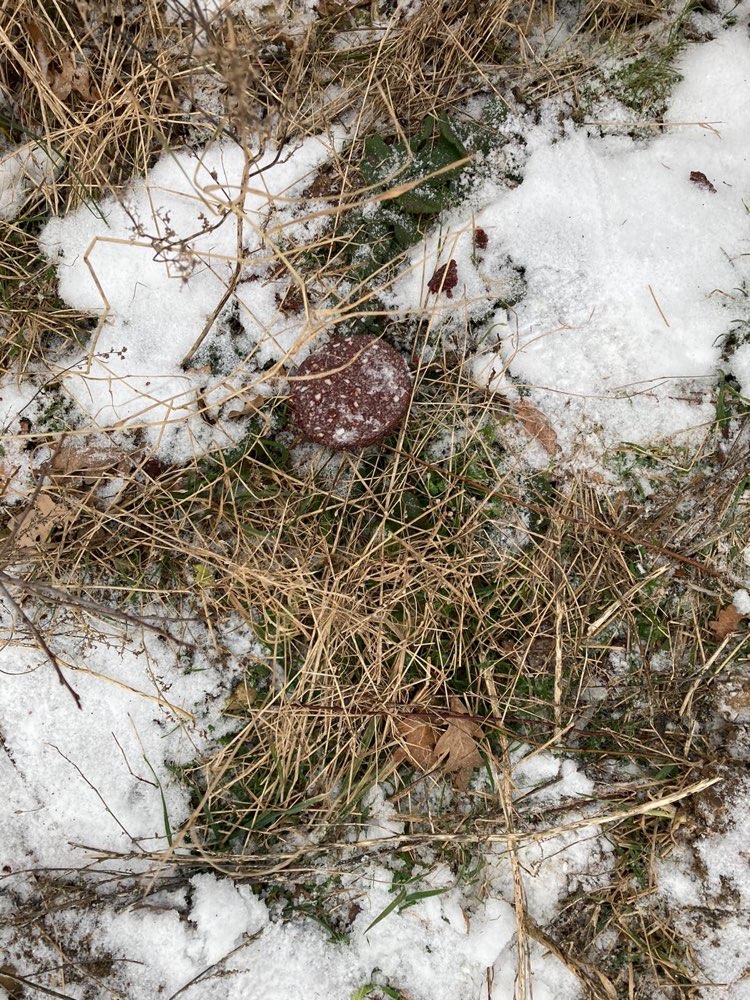 Giftköder-Vermutlicher Giftköder-Profilbild