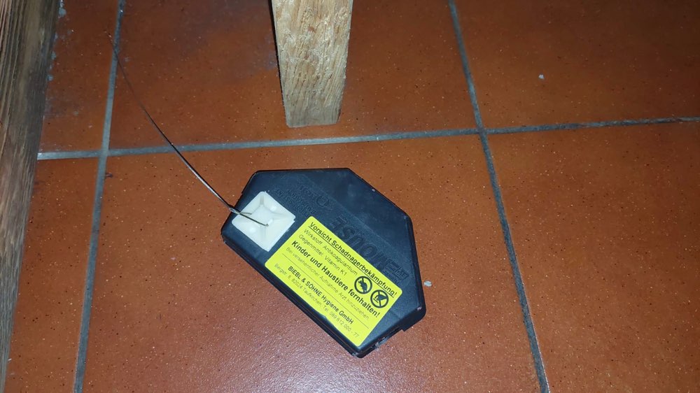 Giftköder-Schadnagerbekämpfungsmittel ausgelegt-Profilbild