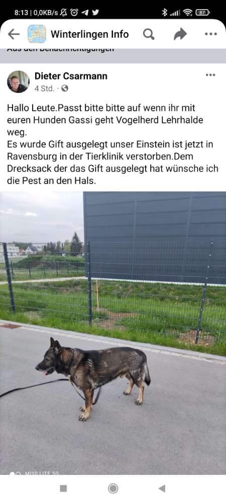 Giftköder-Giftköder-Profilbild