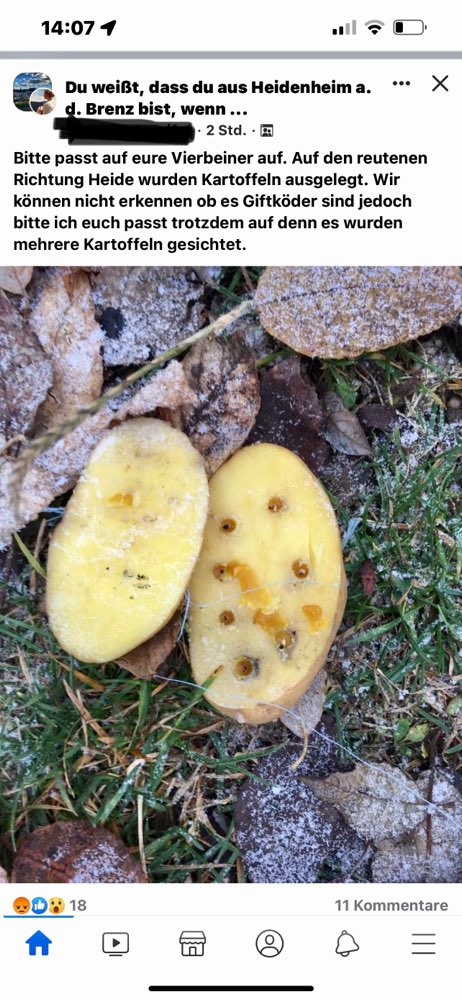 Giftköder-Präparierte Kartoffeln ausgelegt-Profilbild