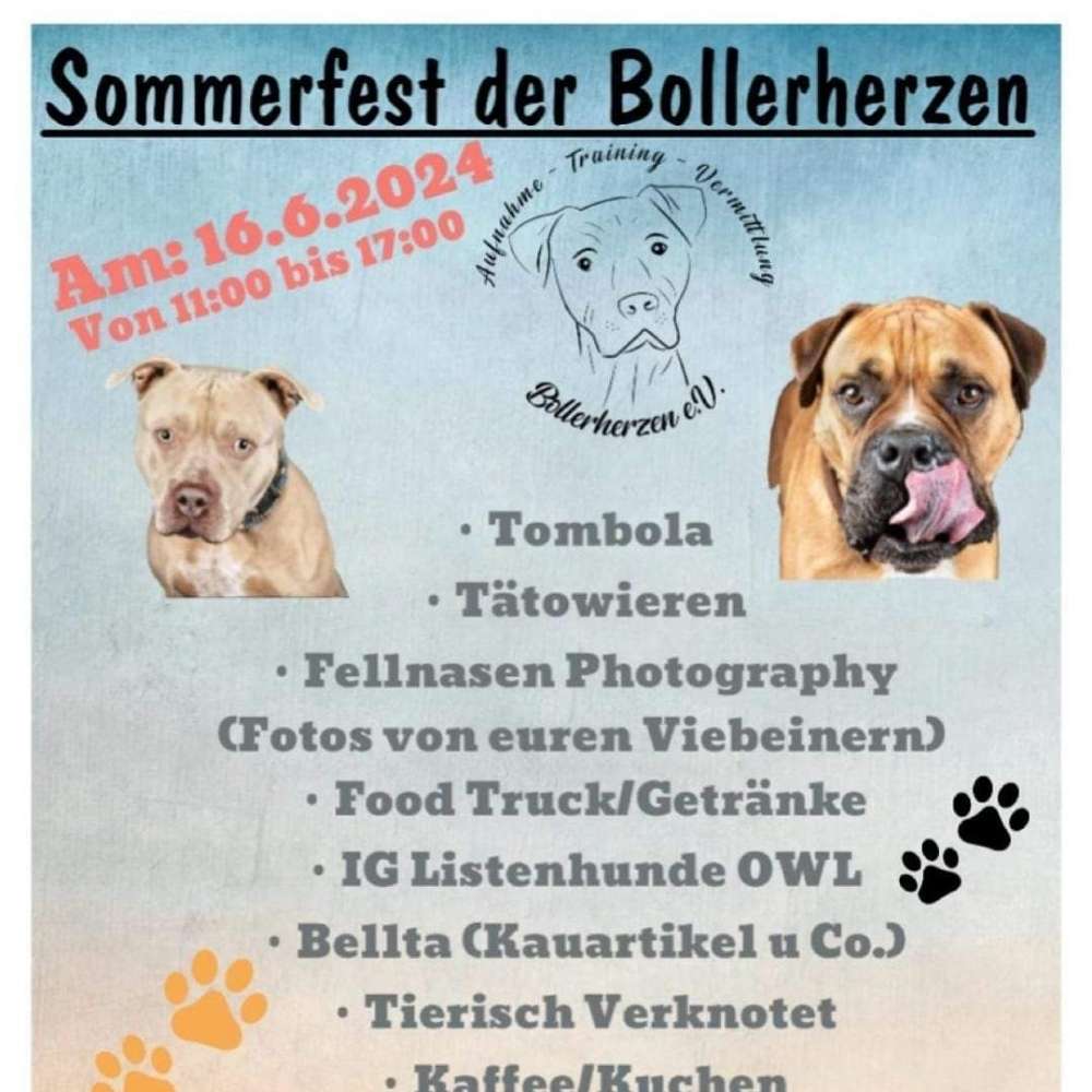 Hundetreffen-SOMMERFEST in Rhaden-Profilbild