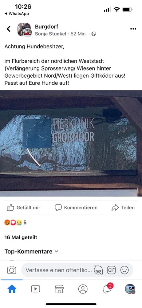 Giftköder-Giftköder-Profilbild