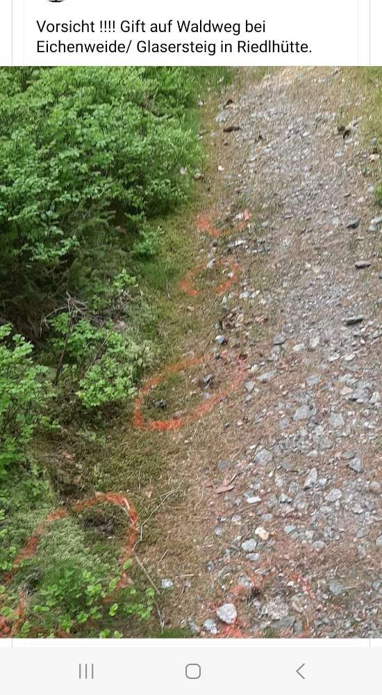 Giftköder-Gift in Eichenweide/Glasersteig-Profilbild