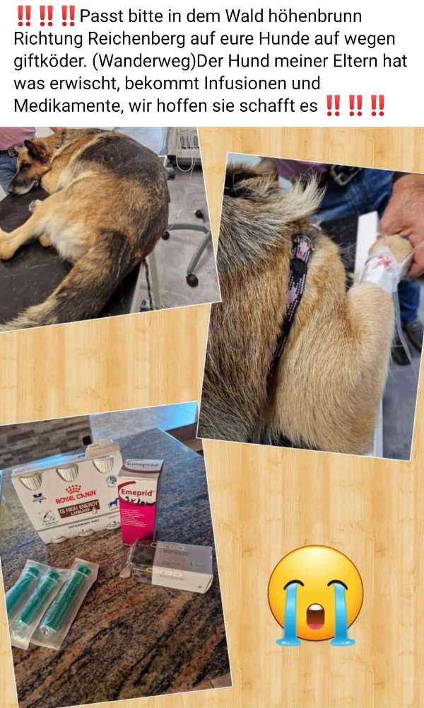 Giftköder-Giftköder-Profilbild