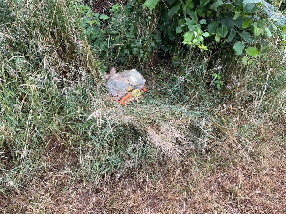 Giftköder-Biomüll mit Maden an Wiesenrand-Profilbild