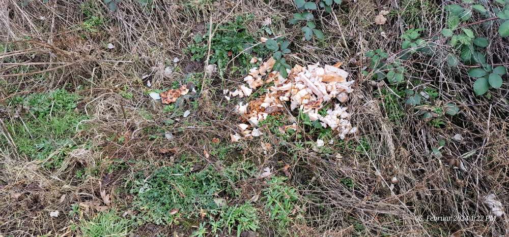 Giftköder-Brot und Scampis-Profilbild