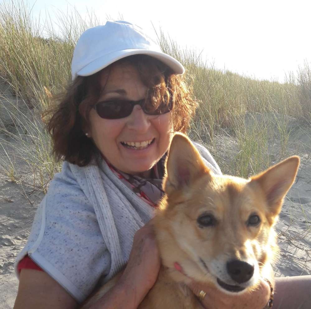 Hundetreffen-Hundetreff für erwachsene Hunde-Profilbild