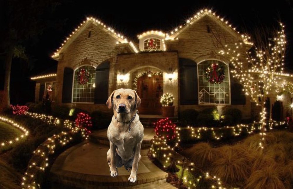 94. Fotomontage ohne KI Banner